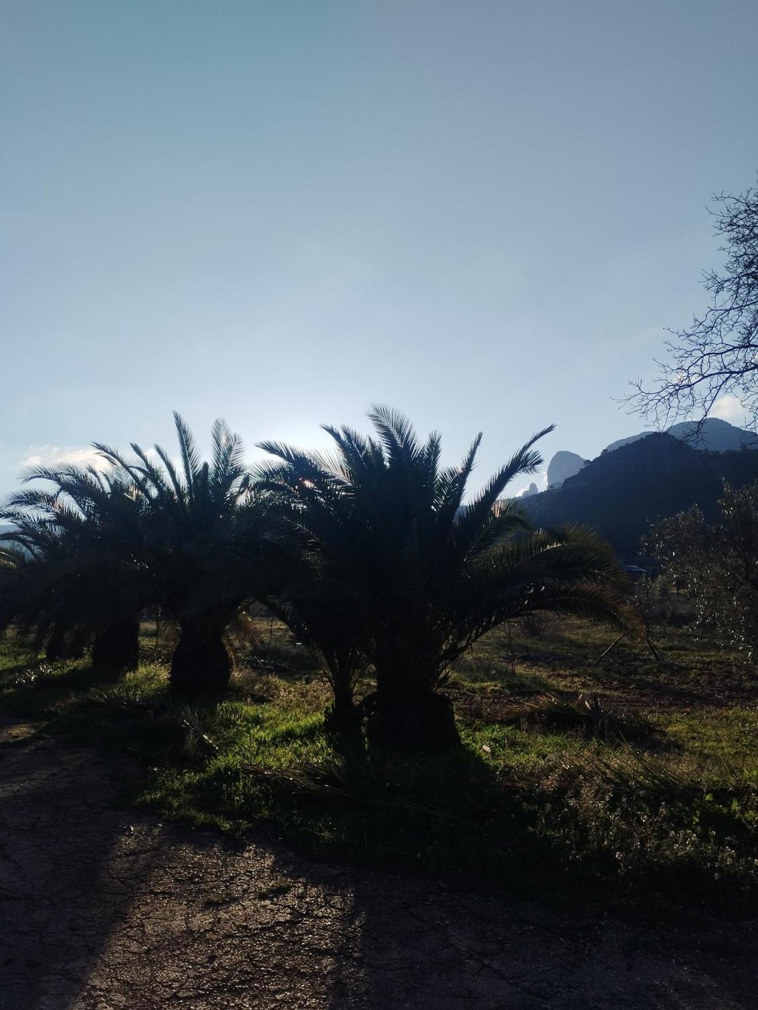 Mas De Manresa Leilighet Horta de Sant Joan Eksteriør bilde