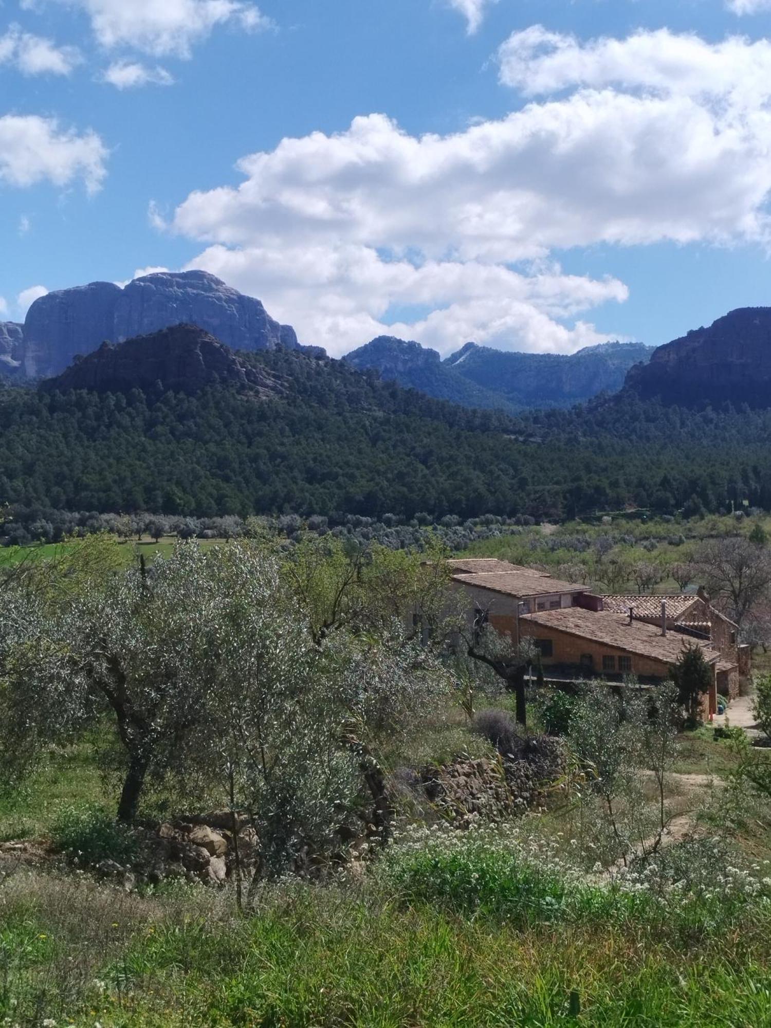 Mas De Manresa Leilighet Horta de Sant Joan Eksteriør bilde