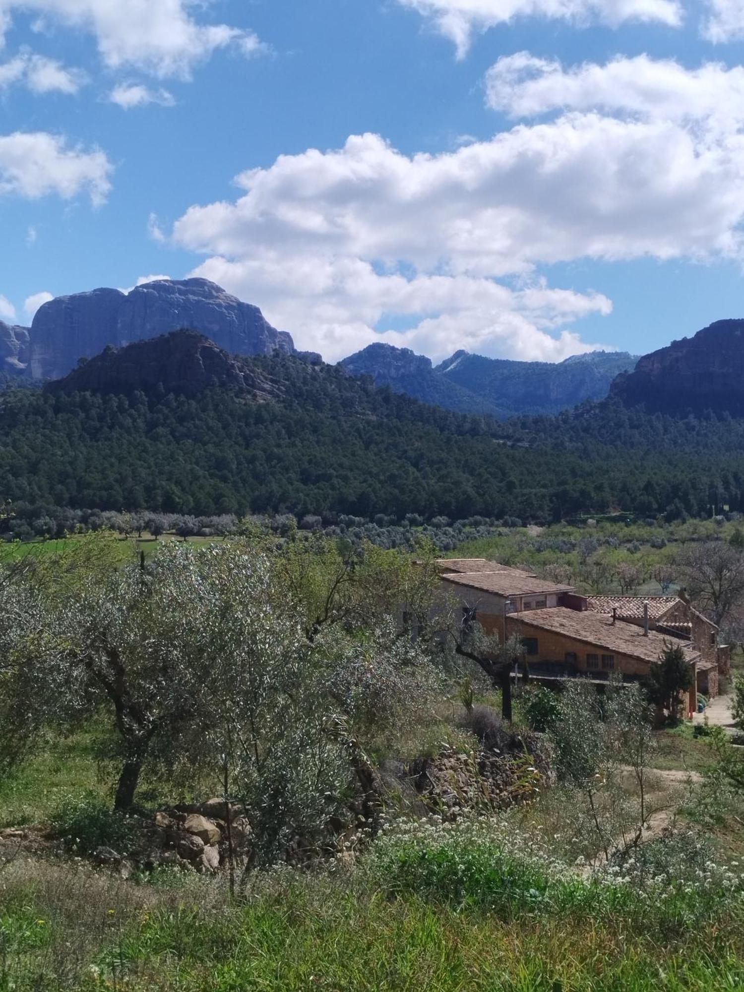 Mas De Manresa Leilighet Horta de Sant Joan Eksteriør bilde